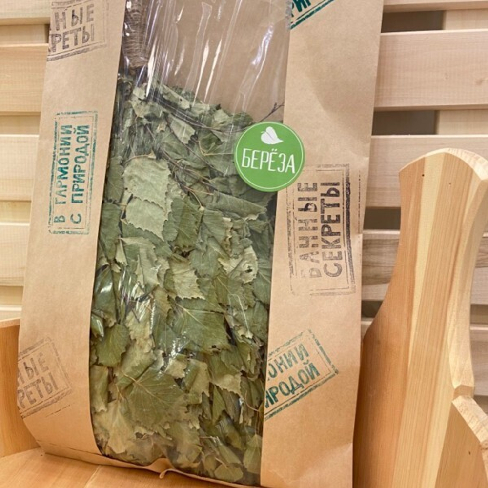 Веник березовый с оплеткой в крафт пакете (ручка 10см, Крафт пакет - 60*30)