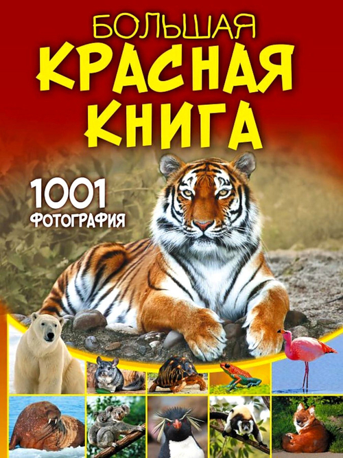 Спектор Анна Артуровна Большая красная книга. 1001 фотография