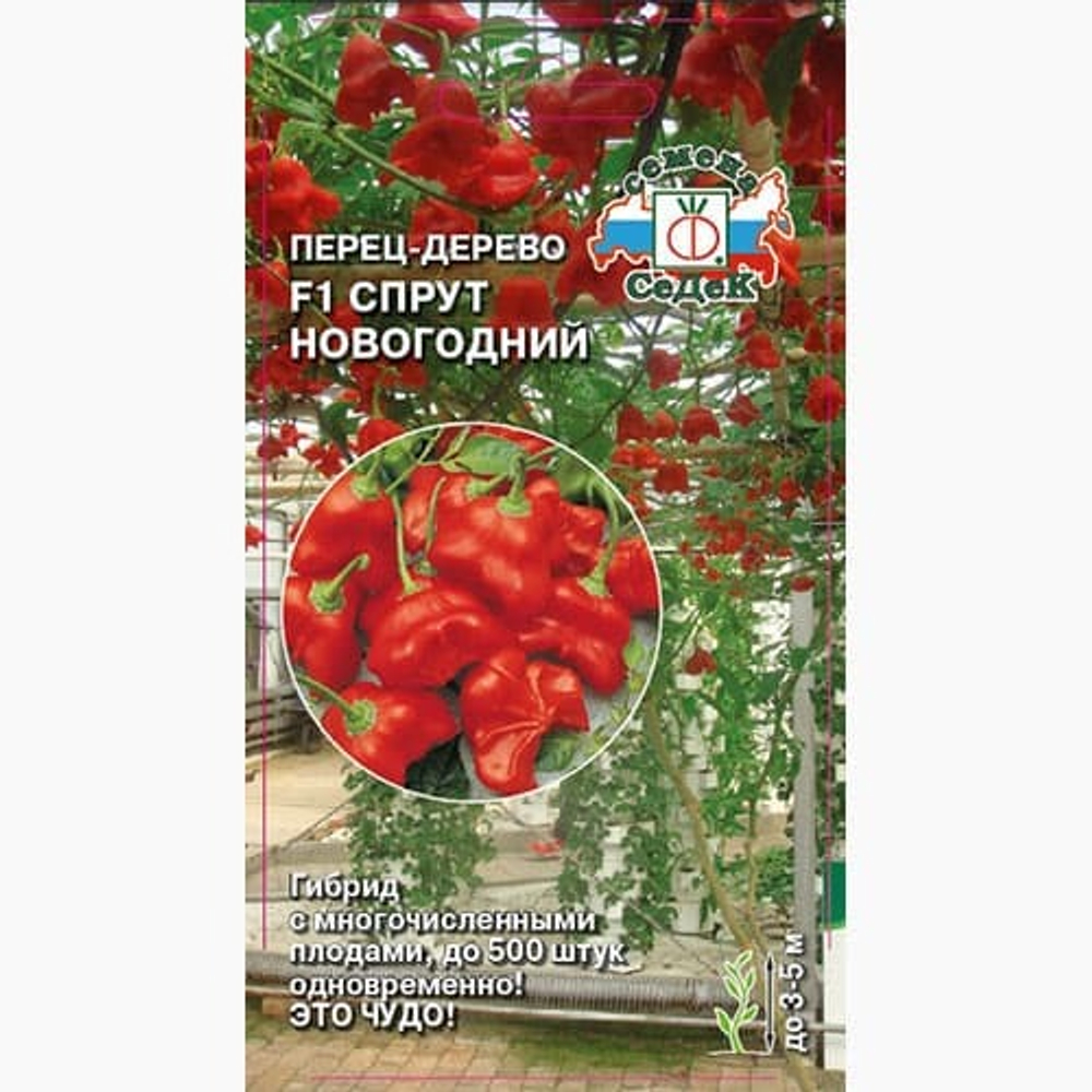 Перец-дерево F1 Спрут новогодний 0.05г (Седек)