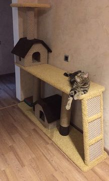 Комплекс для кошки К-165