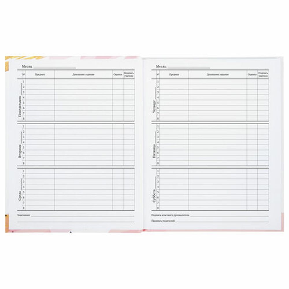 Дневник 1-11 класс 40 л., твердый, BRAUBERG, глянцевая ламинация, "Vision", 106380