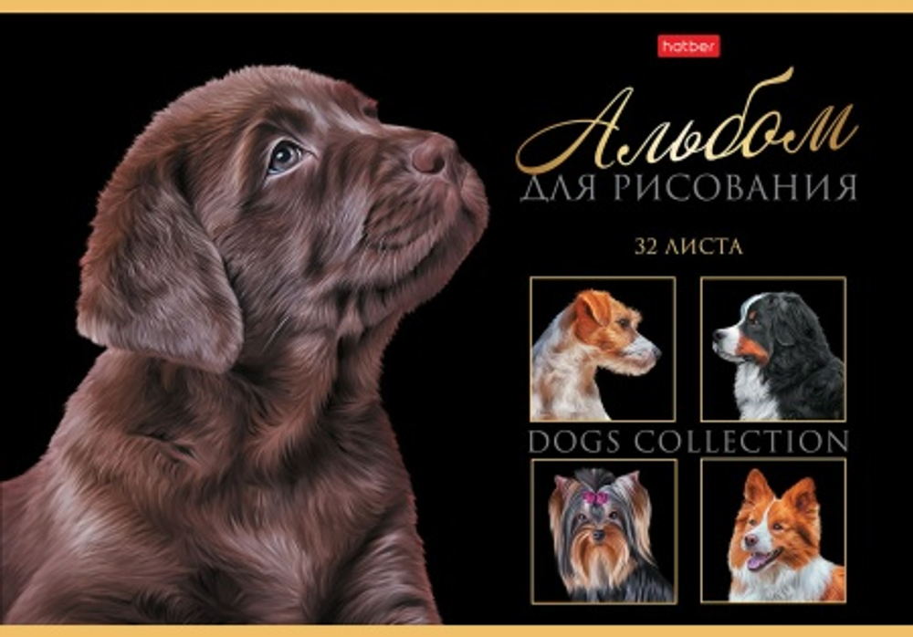 ckaap5udbe9fe1js1cpzuc9ldw4kwgt5