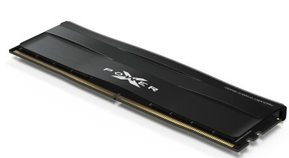 Модуль памяти DDR5 16GB Silicon Power SP016GXLWU60AFSE