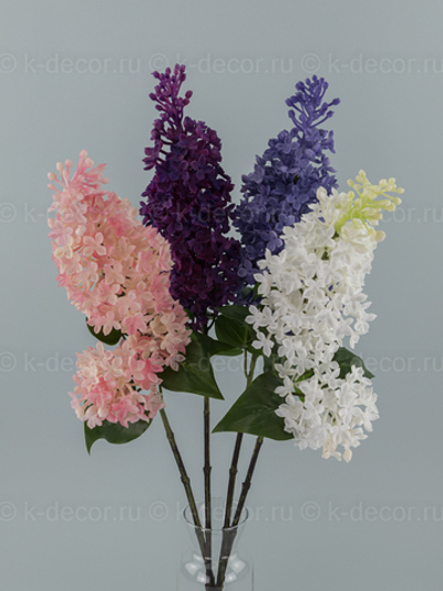 Сирень Премиум