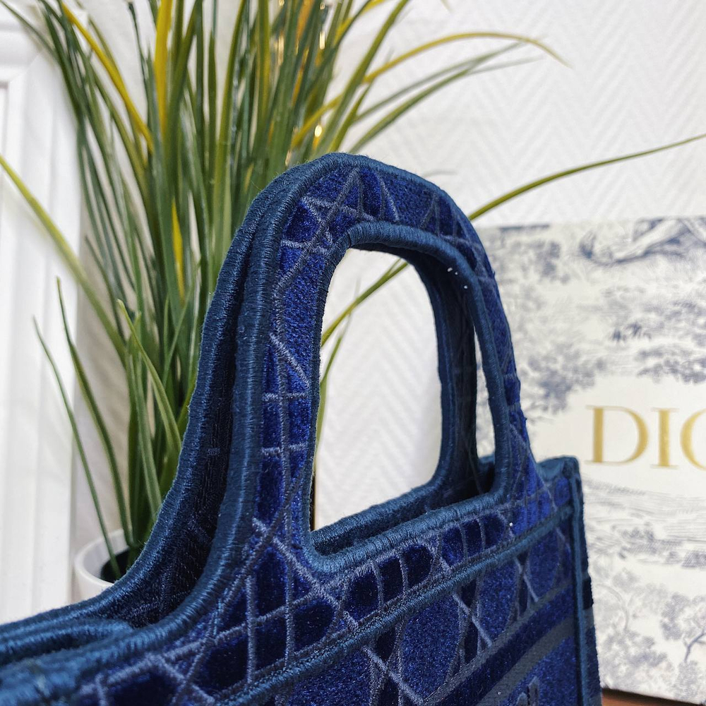 Dior Book Tote Mini
