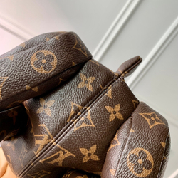 Louis Vuitton Pooch Bag