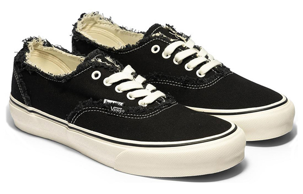 Invincible X Vans Authentic