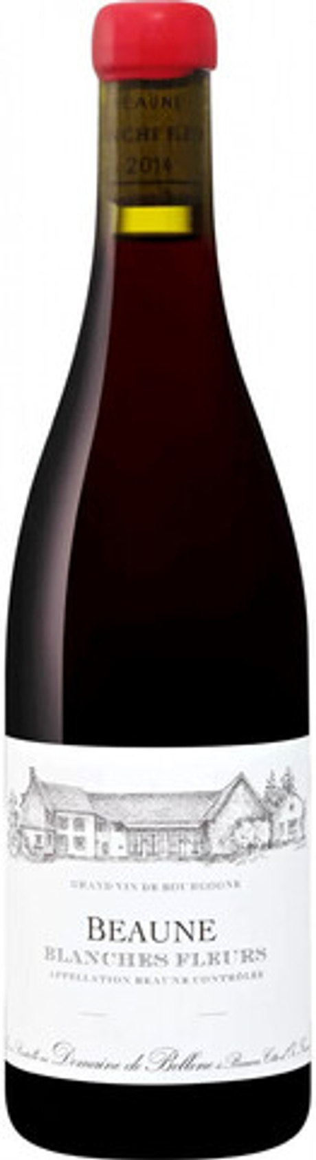 Вино Бон Бланш Флёр