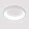 Потолочный светодиодный светильник Arte Lamp Menkib A2694PL-45WH
