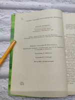 Жизнь большой реки. Островский Виктор