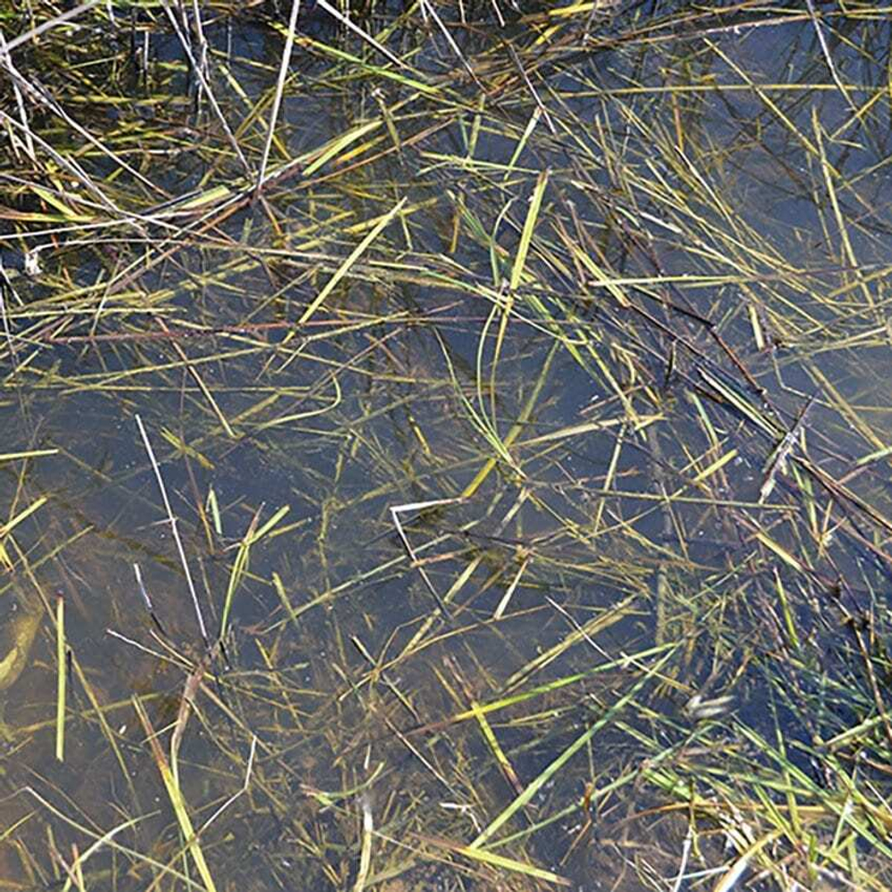 Жидкость для моделирования AK Interactive Still Water 250ml