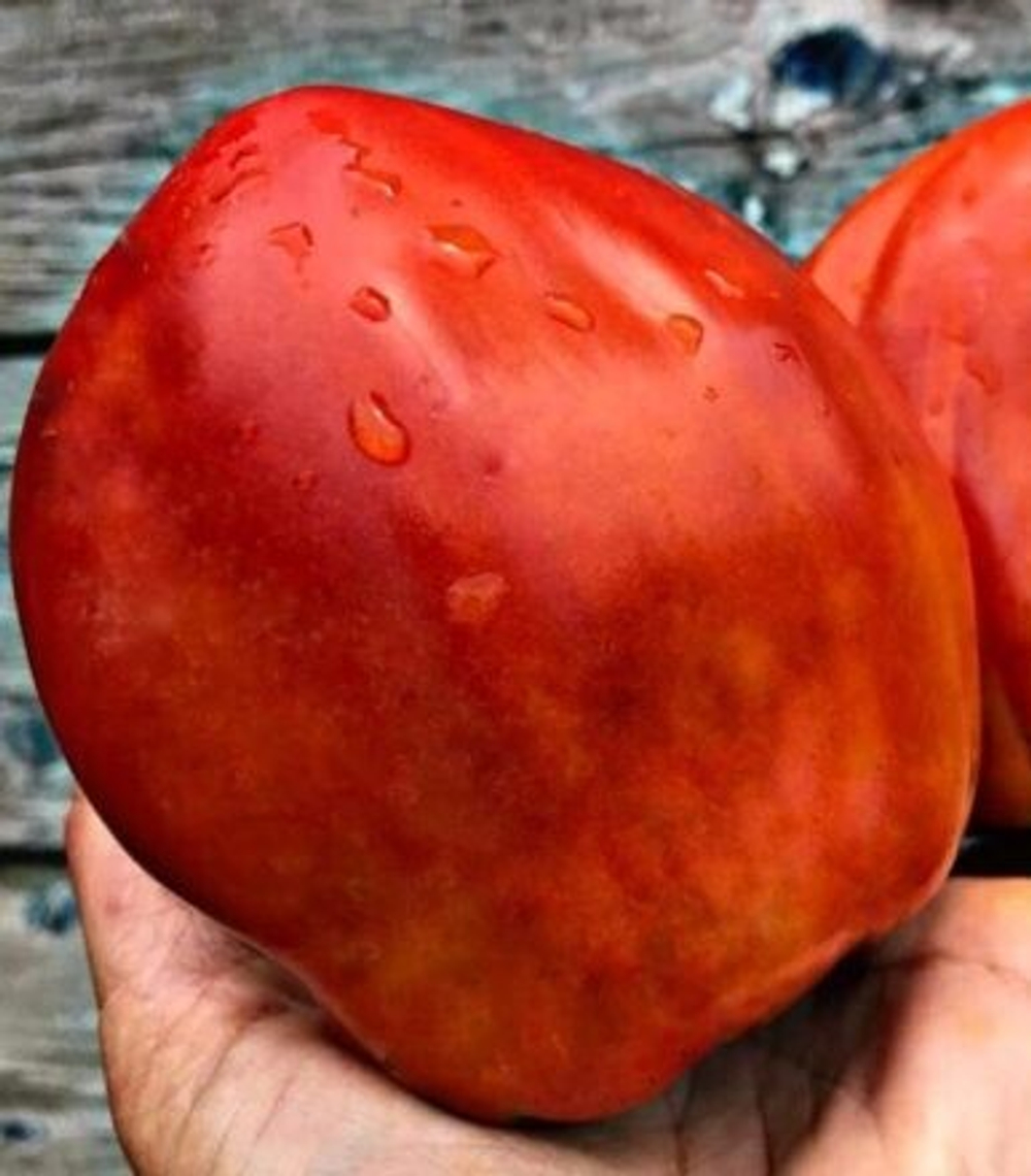 Сердце дядюшки И Чан / Yee Chan’s Uncle’s Oxheart