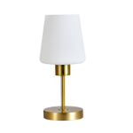 Настольный светильник 1х60Вт Е27, металл/стекло, золото/белый