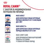 Royal Canin Maxi Ageing 8+ Макси Эйджинг Корм сухой для стареющих собак крупных пород старше 8 лет 15кг