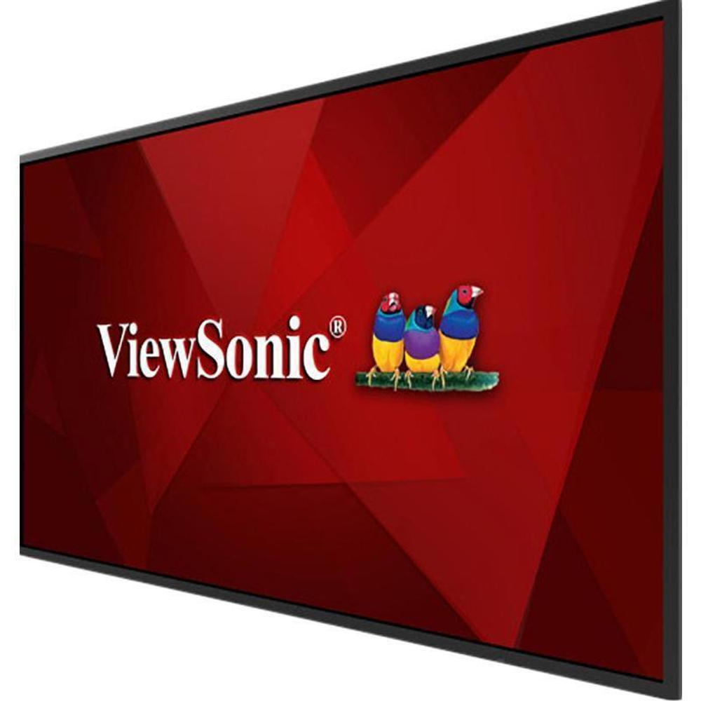 Монитор 55" ViewSonic CDE5520 (CDE5520)