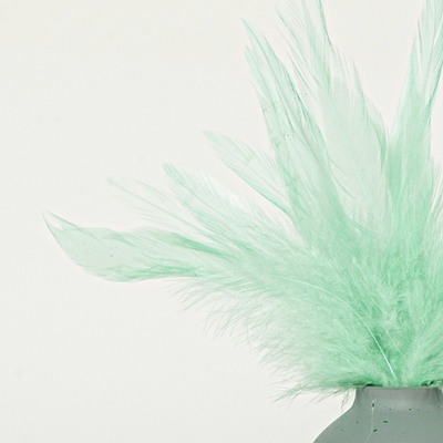 Перья петуха мятные 7 - 13 см. 20 шт.