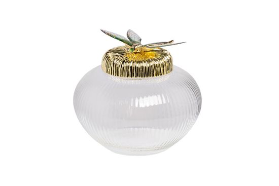 55RD6259S Ваза стеклянная с крышкой со стрекозой d15*14см