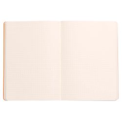 Записная книжка Rhodiarama в мягкой обложке A5 (117442C) 2