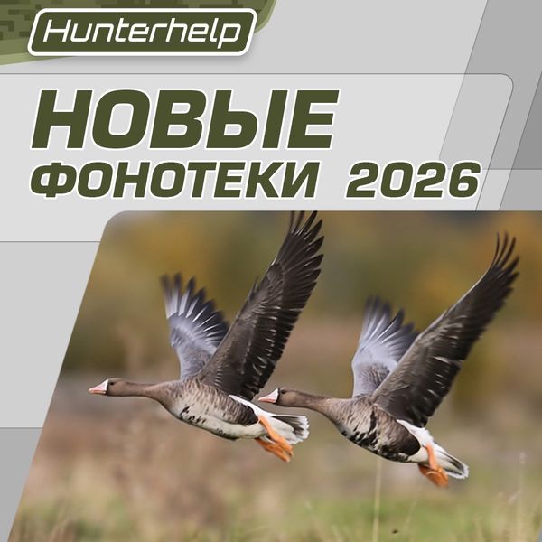 Фонотека 2026 еще ближе!