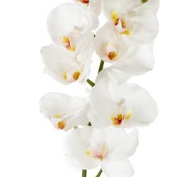 GAEM Цветок искусственный "Орхидея", L15 W9 H80 см