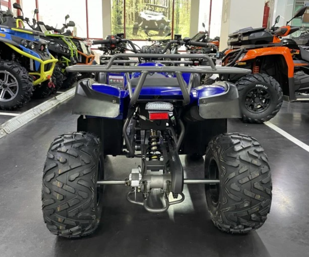 Квадроцикл IRIDE WOLF 200