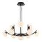 Подвесная люстра Lussole Blubber LSP-8937