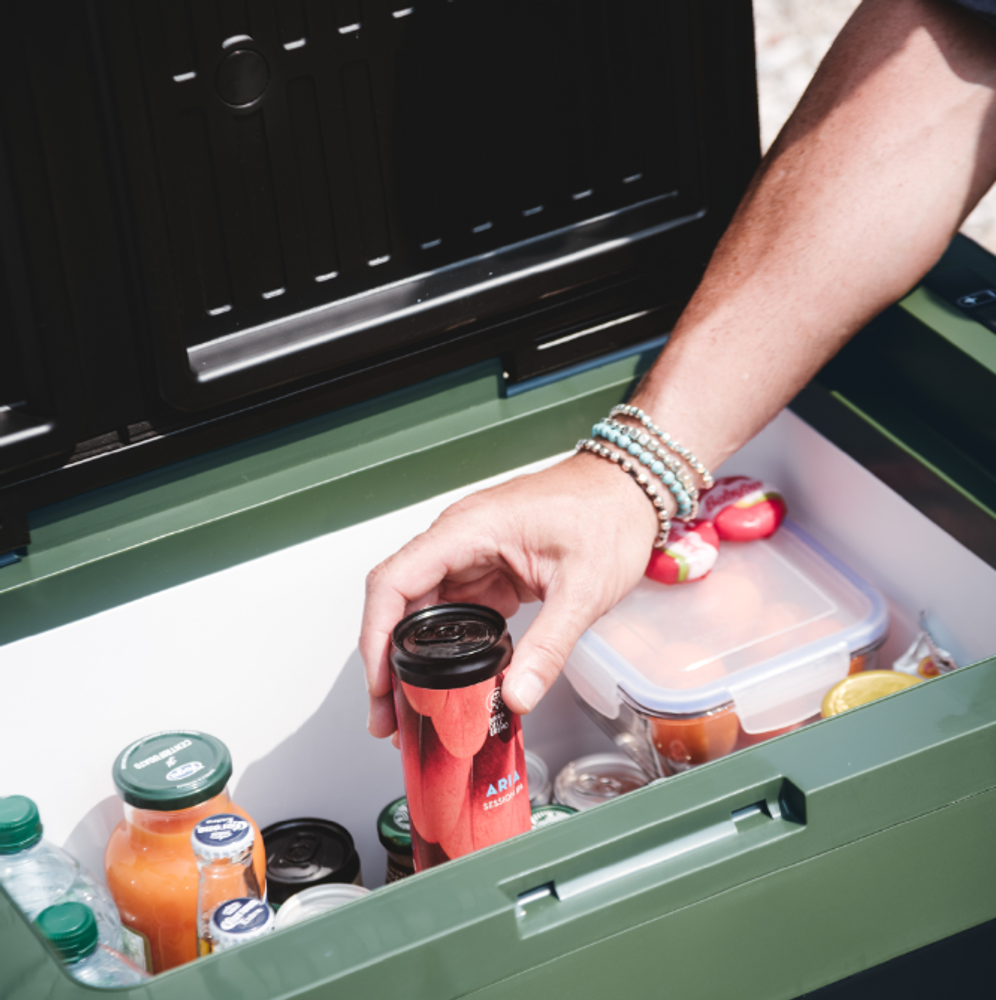 Автохолодтльник компрессорный Indel B Travel Box ITB32 12/24В