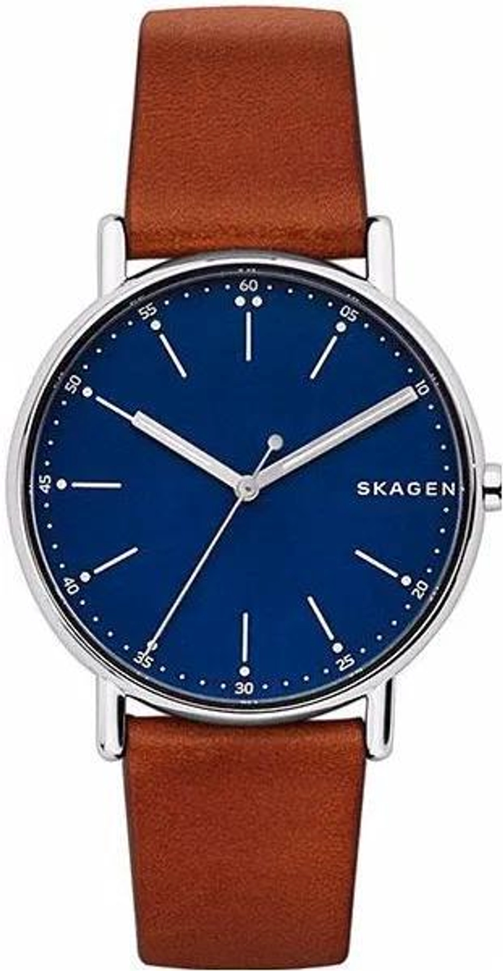 Мужские наручные часы Skagen SKW6355