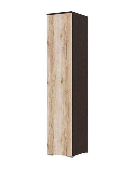 Шкаф-пенал ПЛЕЙОНА /450*2200*554/