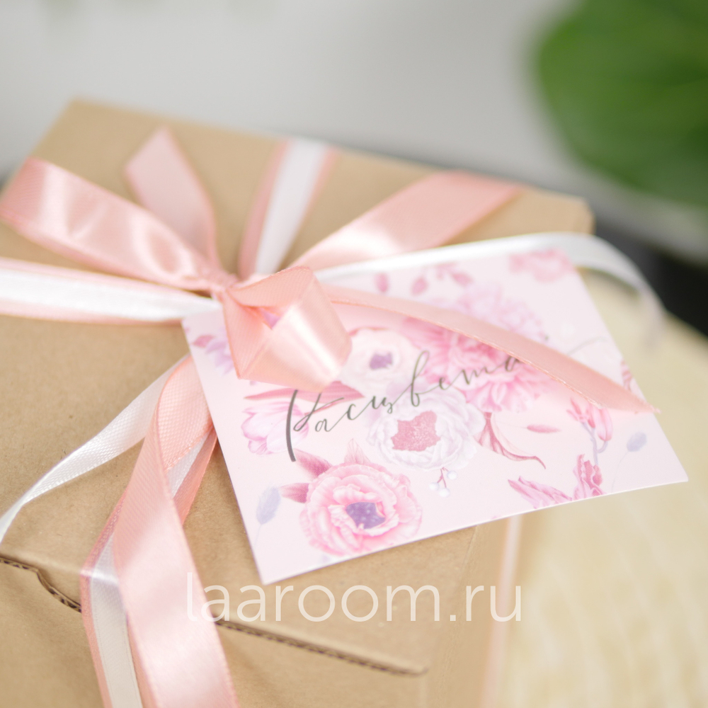 Суккулент в кашпо №3