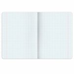 Тетрадь предметная PIGMENT 48 л., глянцевый УФ-лак, ИСТОРИЯ, клетка, подсказ, BRAUBERG, 404765