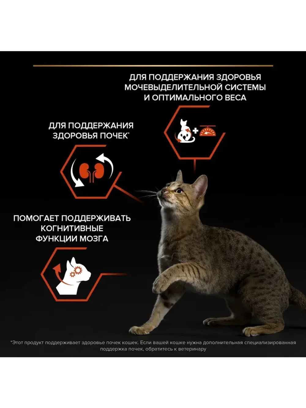 Корм Sterilised VITAL FUNCTIONS для кошек с лососем 10 кг