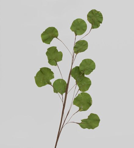 TRN 230 Цветной горошек