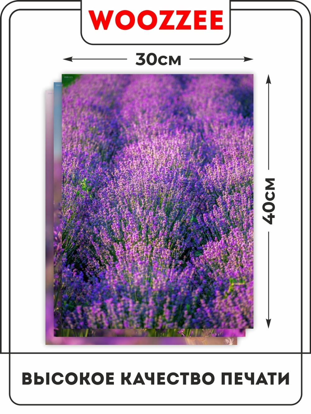 Набор постеров "Красота Лаванды" 3шт.