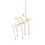 Pendant design lamp  PERCH by Moooi (5 lampshades)