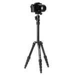 Штатив Benro BMBPABLK с шаровой головой