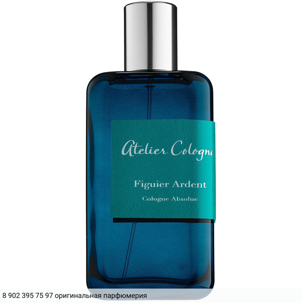 Figuier Ardent
