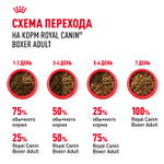 Сухой корм Royal Canin Boxer Adult для взрослых и стареющих собак породы боксер от 15 месяцев, 12 кг