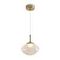 Подвесной светильник Freya Modern Mote FR5601PL-01TR