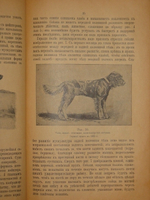 "Дрессировка и натаска подружейных собак". Г.Оберлендер. 1910г.