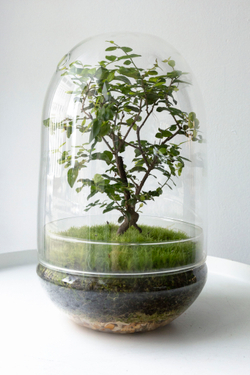 Экосистема Shell