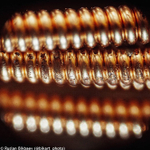 Микроскоп Levenhuk Rainbow 50L PLUS Апельсин