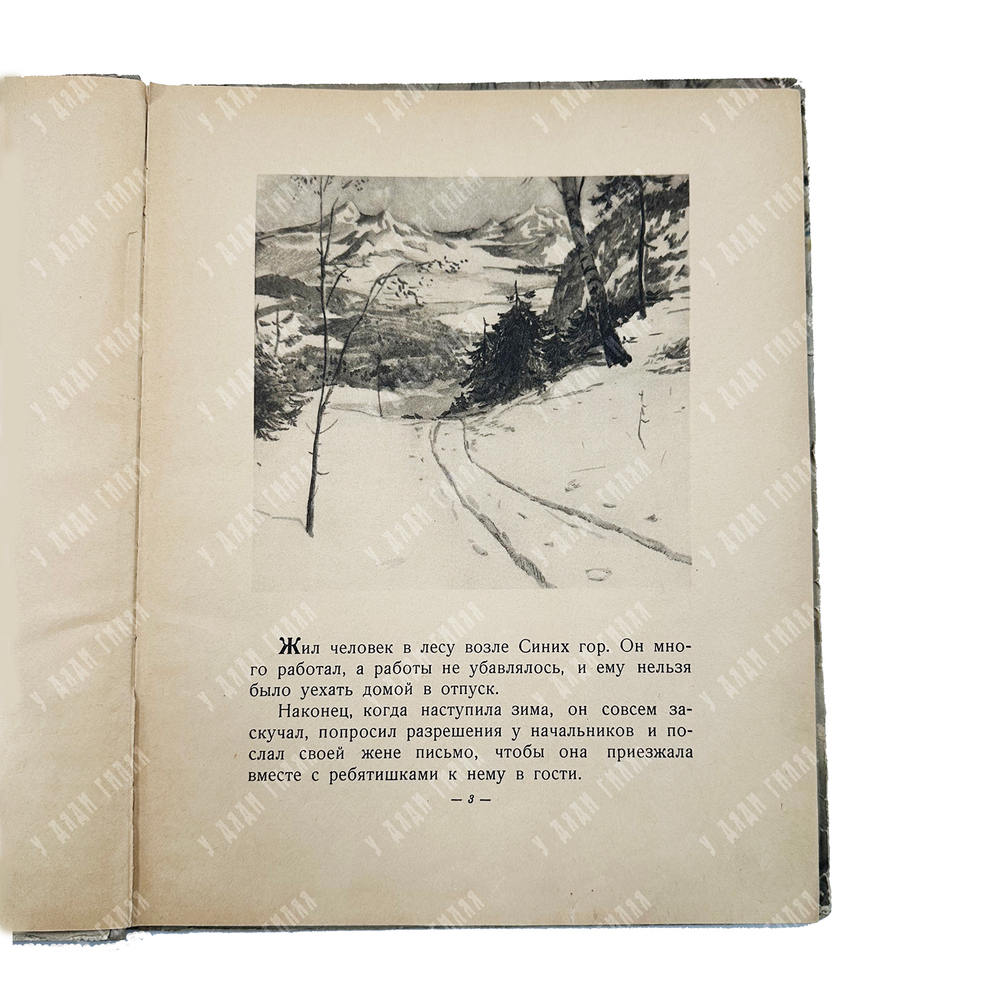 Гайдар, Аркадий Петрович. Чук и Гек. Рассказ.М.-Л. ДЕТГИЗ. 1955 г.
