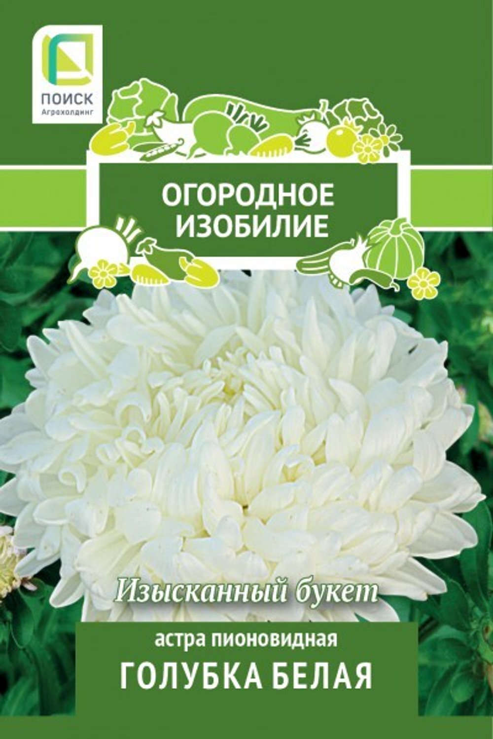 Астра пионовидная Голубка белая