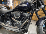 Harley-Davidson® Softail® Sport Glide™  2020