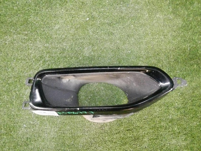 Насадка глушителя левая BMW 7er G11 (2015-2019)