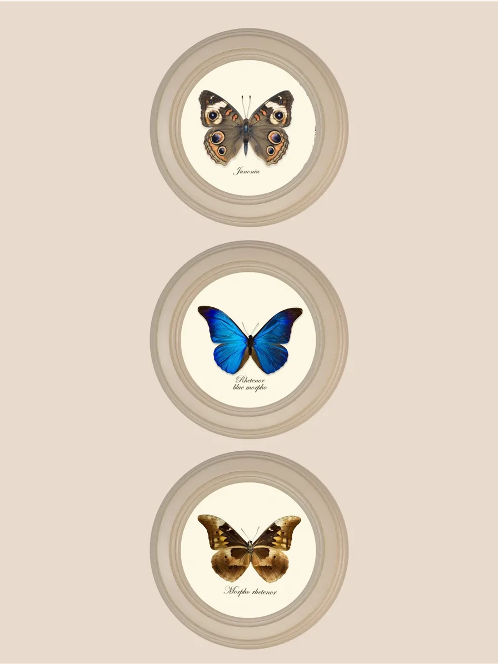 Картины на стену интерьерные на холсте 3 шт