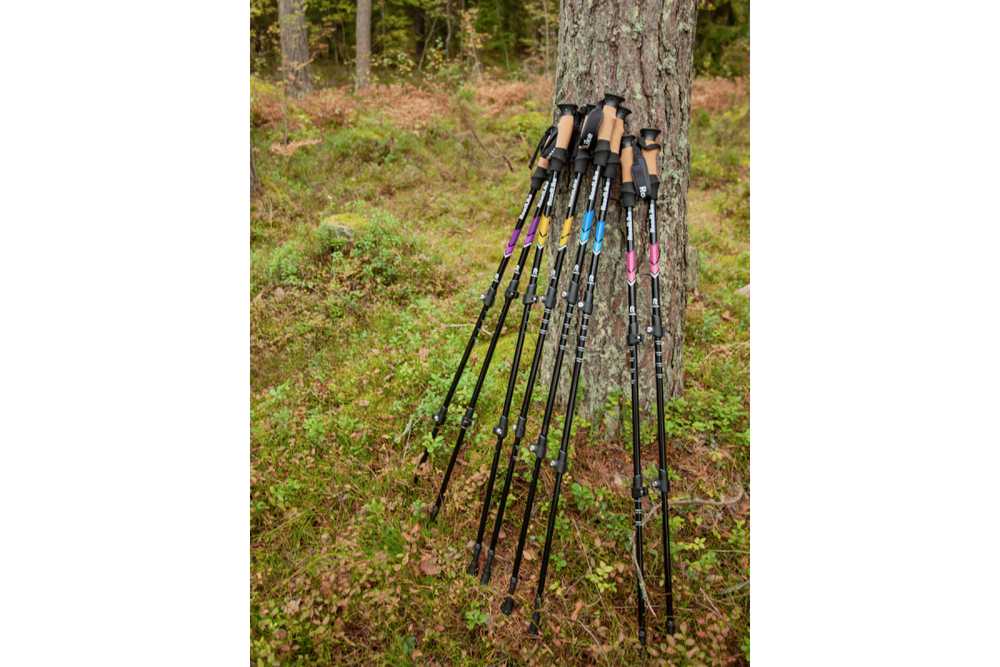 Палки для скандинавской ходьбы RoadLike Зеленый