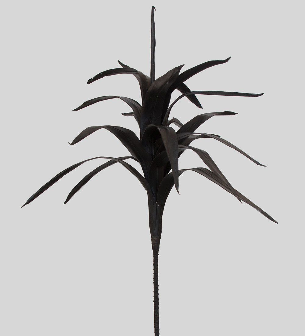 TRN 122 Кордилина