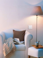 Розетка с з/к с крышкой Profitec Corsa графит